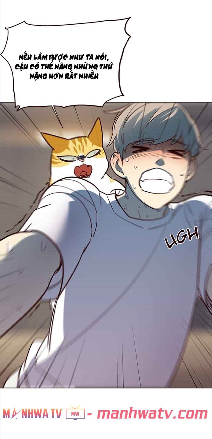 Hóa Thân Thành Mèo Chap 23 - Next Chap 24