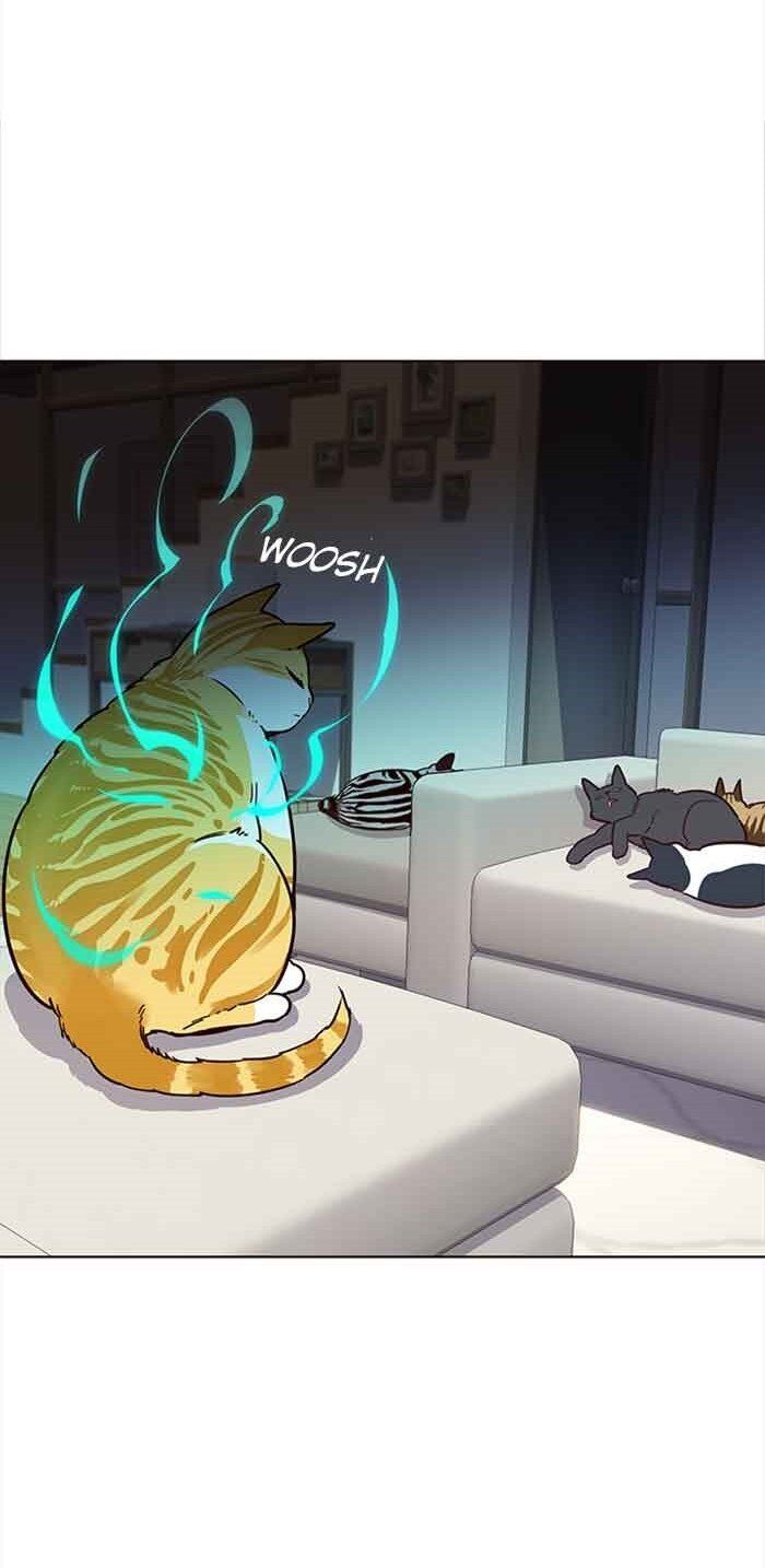 Hóa Thân Thành Mèo Chap 23 - Next Chap 24