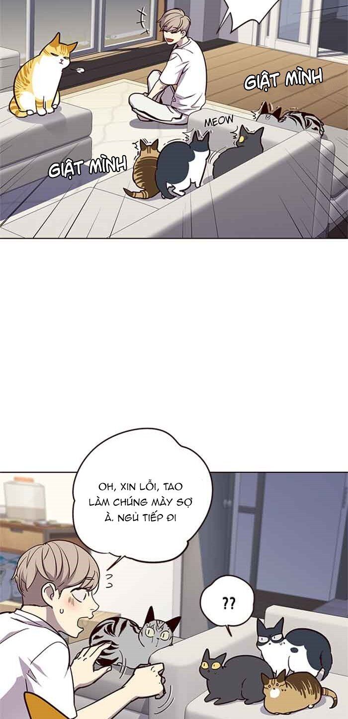 Hóa Thân Thành Mèo Chap 23 - Next Chap 24