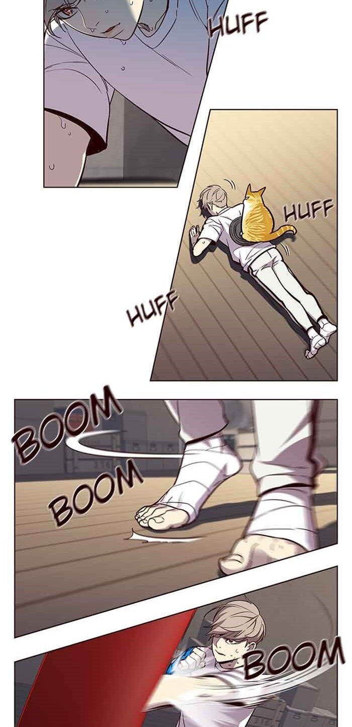 Hóa Thân Thành Mèo Chap 23 - Next Chap 24