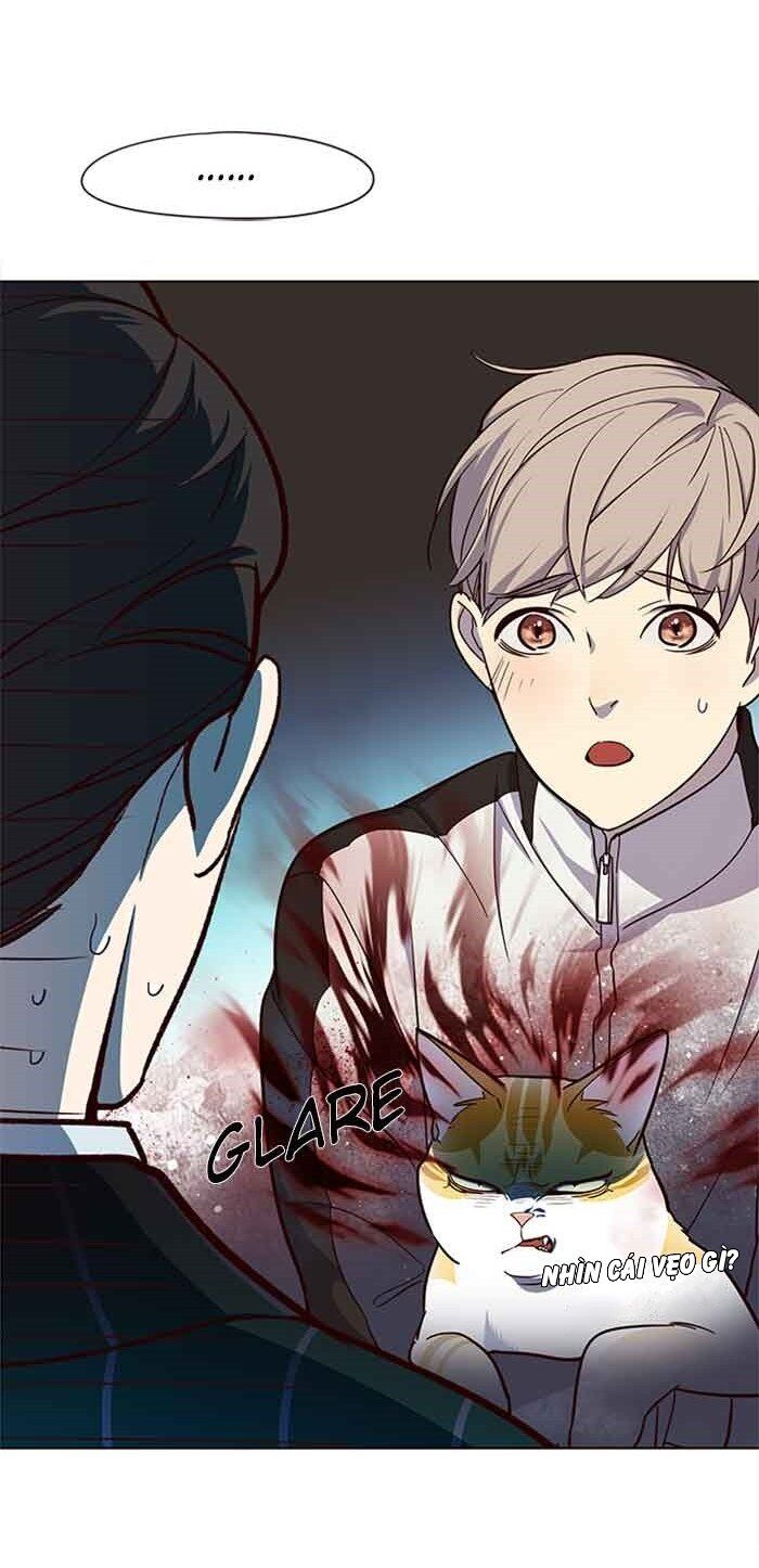 Hóa Thân Thành Mèo Chap 23 - Next Chap 24