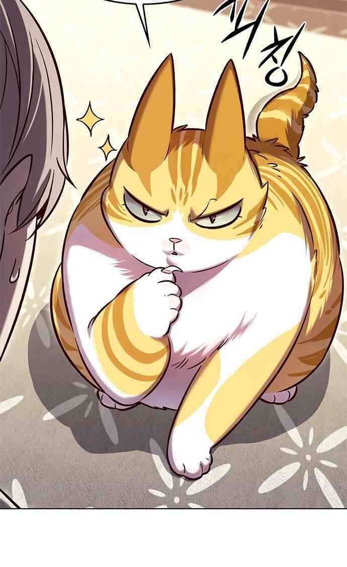 Hóa Thân Thành Mèo Chap 231 - Next Chap 232