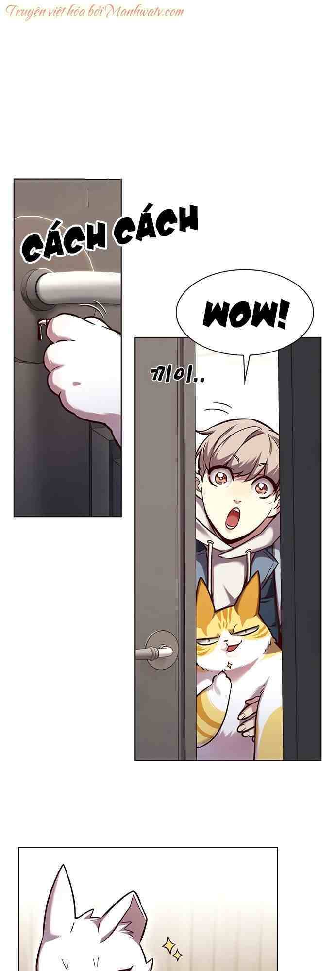 Hóa Thân Thành Mèo Chap 231 - Next Chap 232