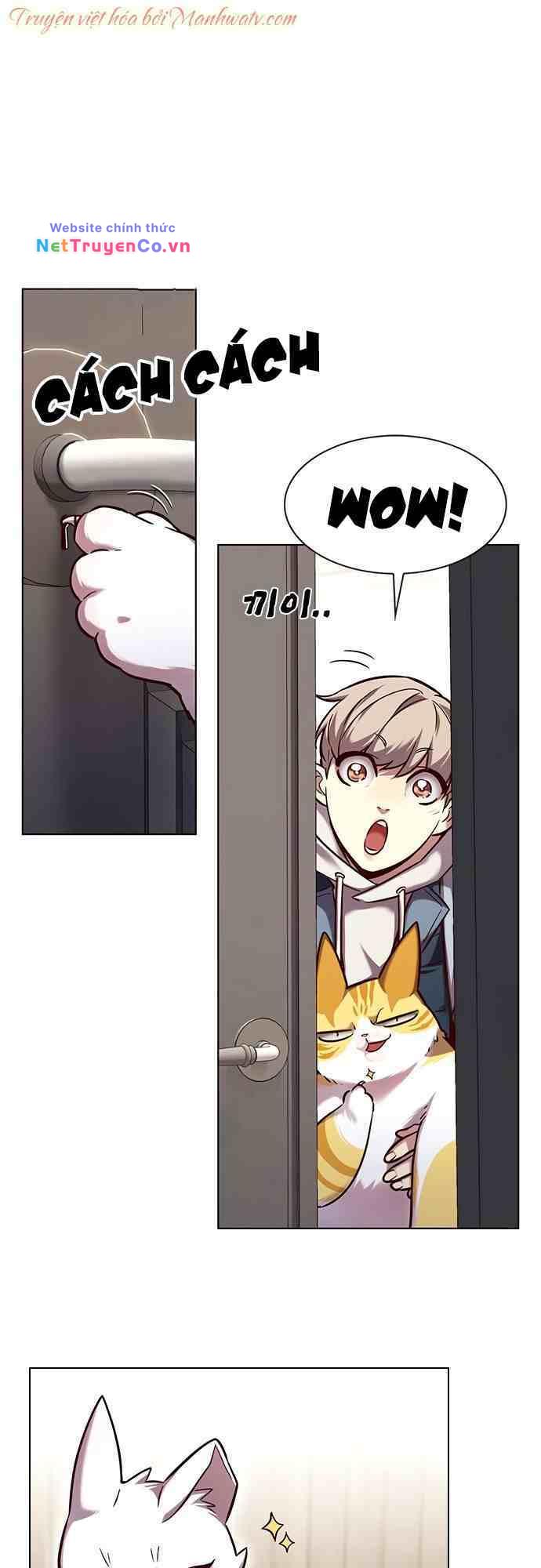 Hóa Thân Thành Mèo Chap 231 - Next Chap 232