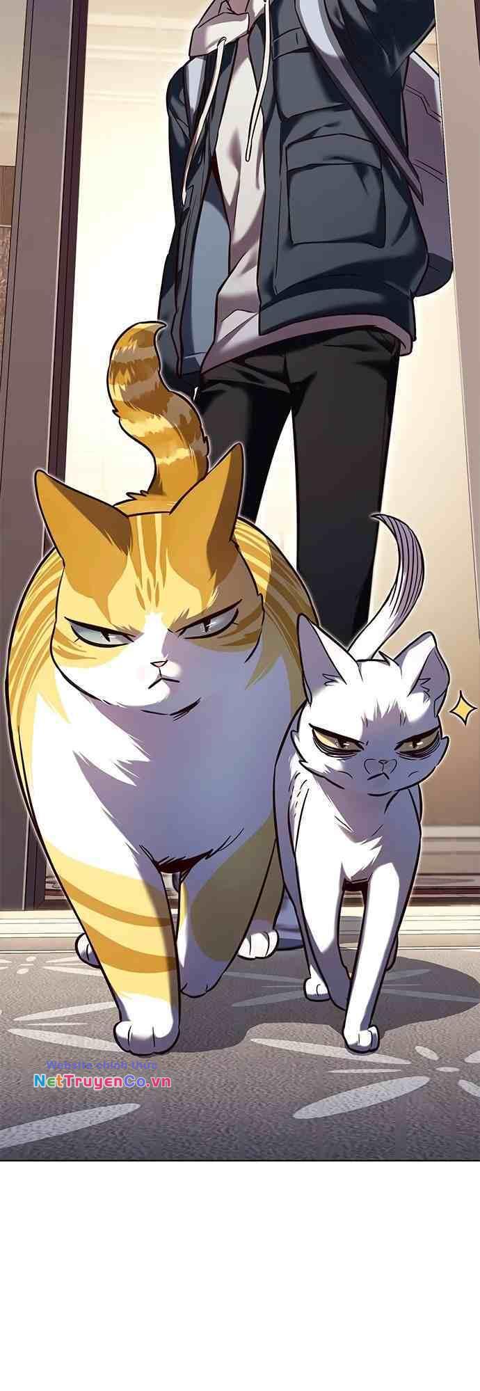 Hóa Thân Thành Mèo Chap 231 - Next Chap 232