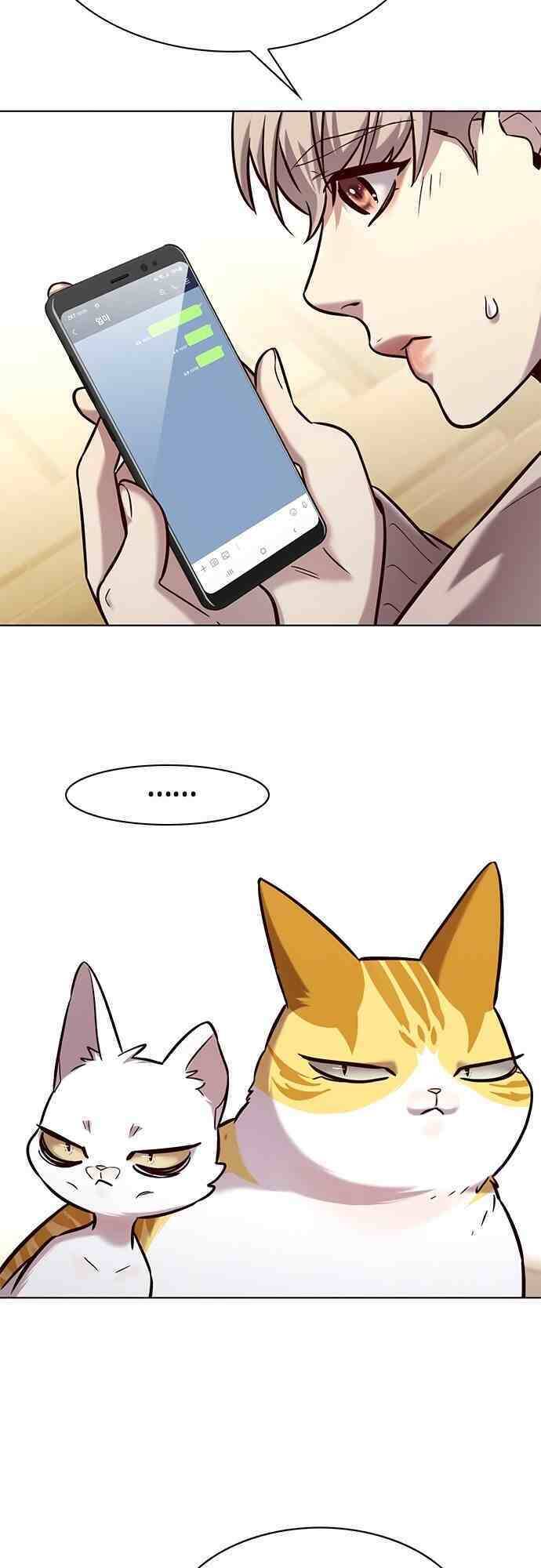 Hóa Thân Thành Mèo Chap 231 - Next Chap 232