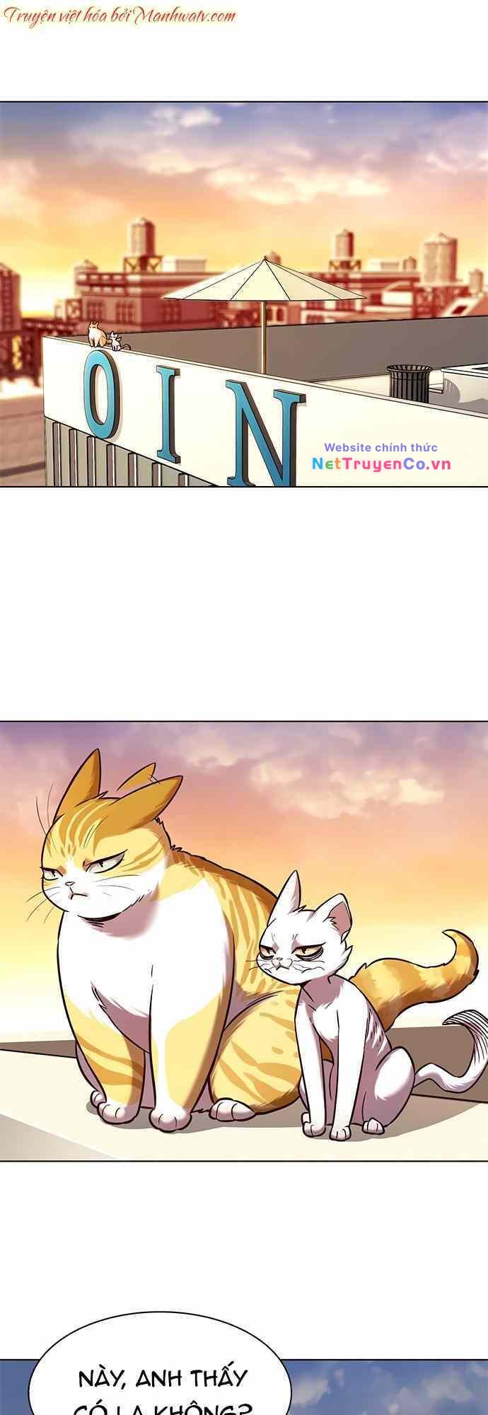 Hóa Thân Thành Mèo Chap 232 - Next Chap 233