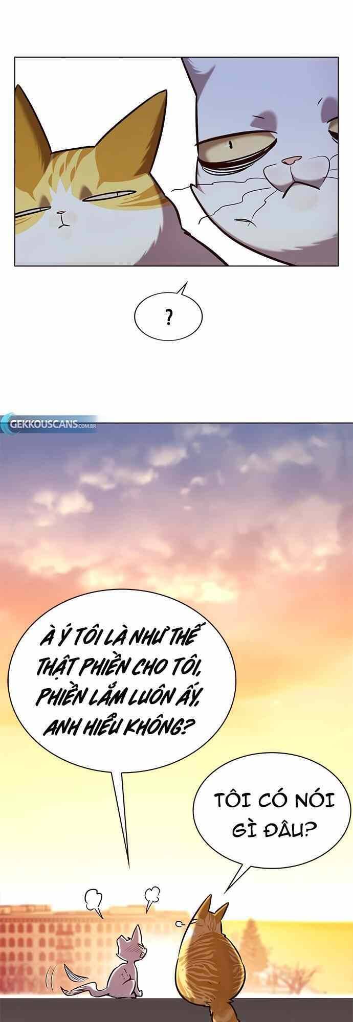 Hóa Thân Thành Mèo Chap 232 - Next Chap 233