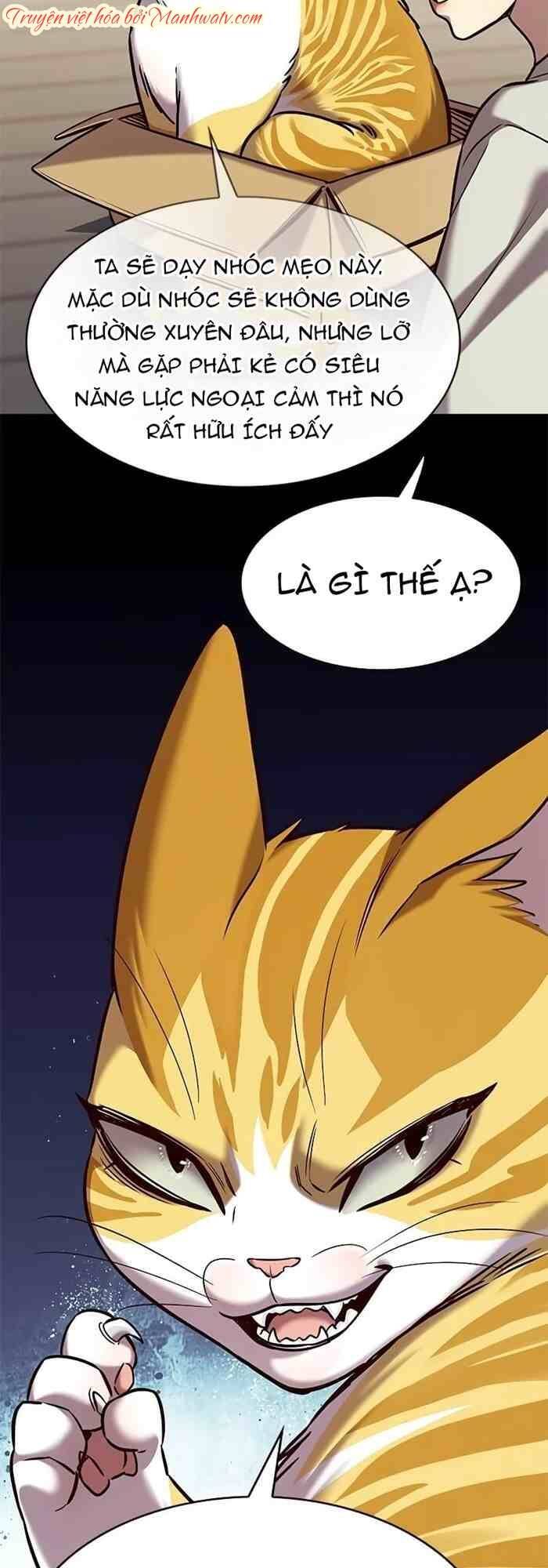 Hóa Thân Thành Mèo Chap 236 - Next Chap 237