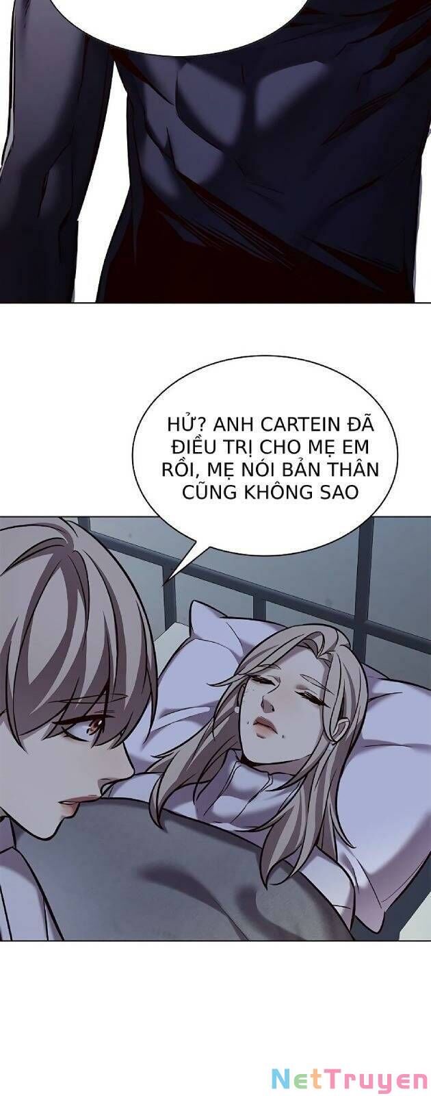 Hóa Thân Thành Mèo Chap 238 - Next Chap 239