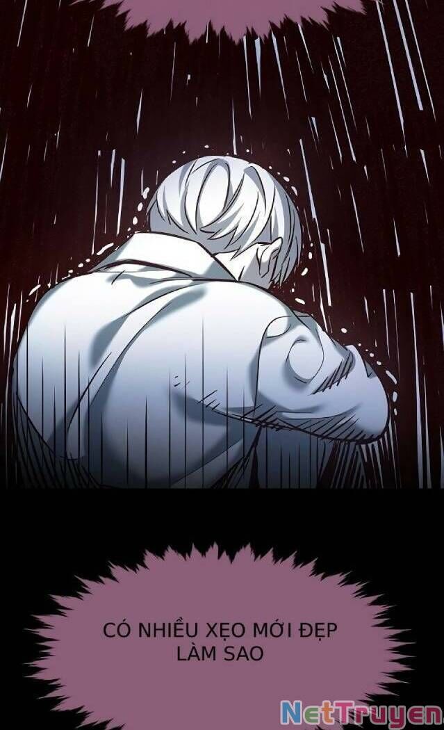 Hóa Thân Thành Mèo Chap 238 - Next Chap 239