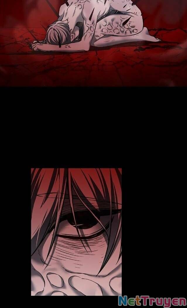 Hóa Thân Thành Mèo Chap 238 - Next Chap 239