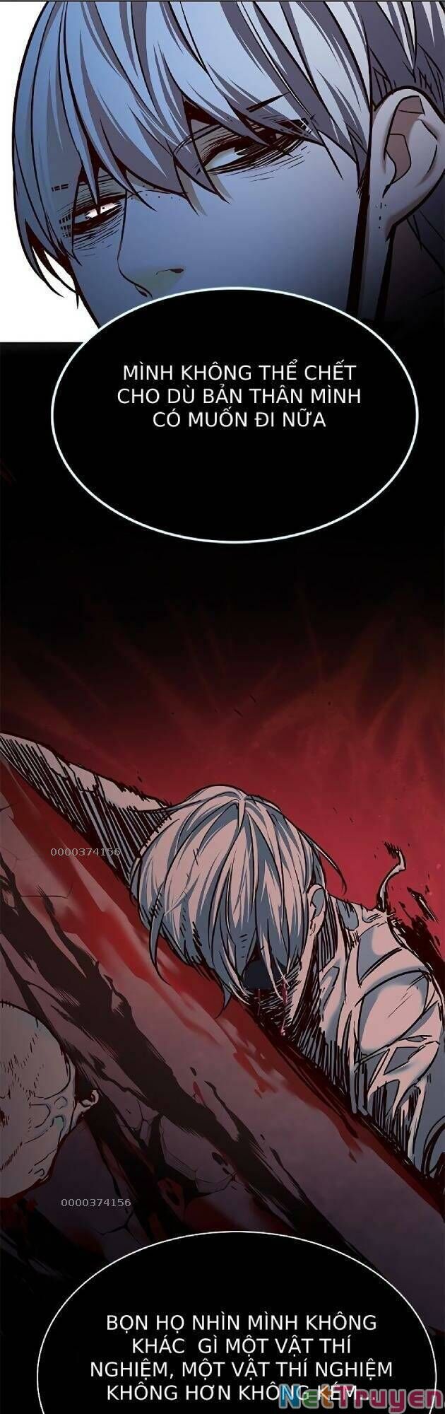 Hóa Thân Thành Mèo Chap 238 - Next Chap 239