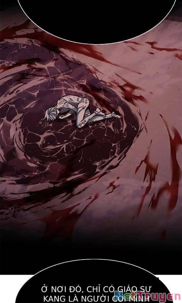 Hóa Thân Thành Mèo Chap 238 - Next Chap 239