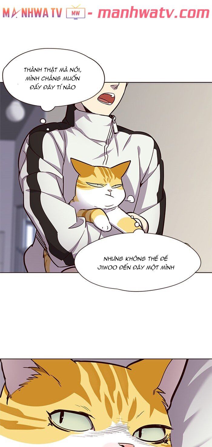 Hóa Thân Thành Mèo Chap 24 - Next Chap 25