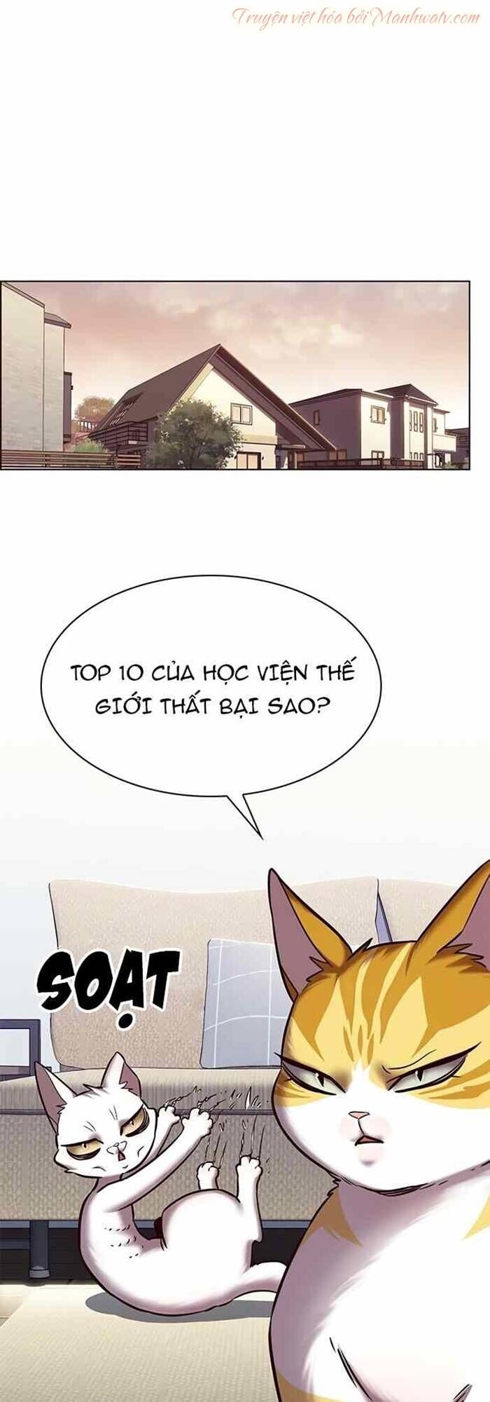 Hóa Thân Thành Mèo Chap 240 - Next Chap 241