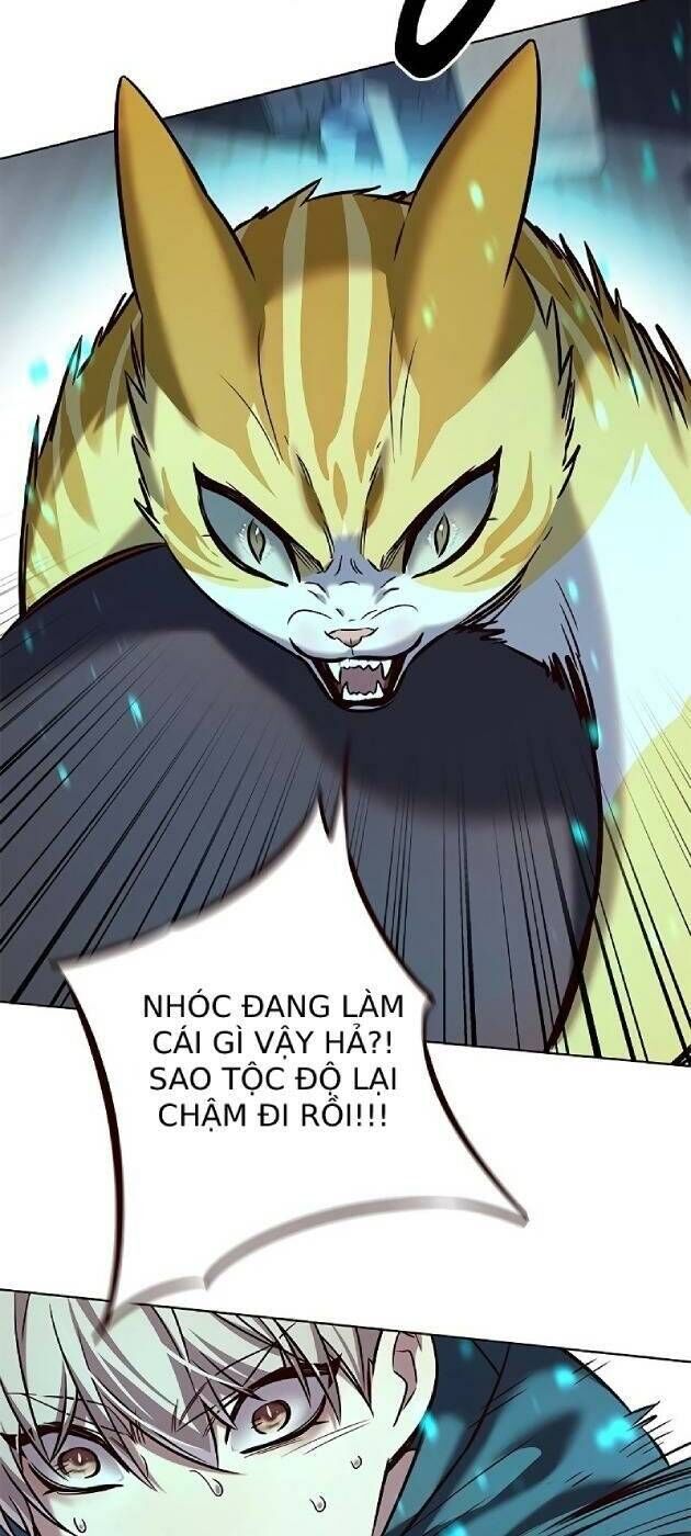 Hóa Thân Thành Mèo Chap 241 - Next Chap 242