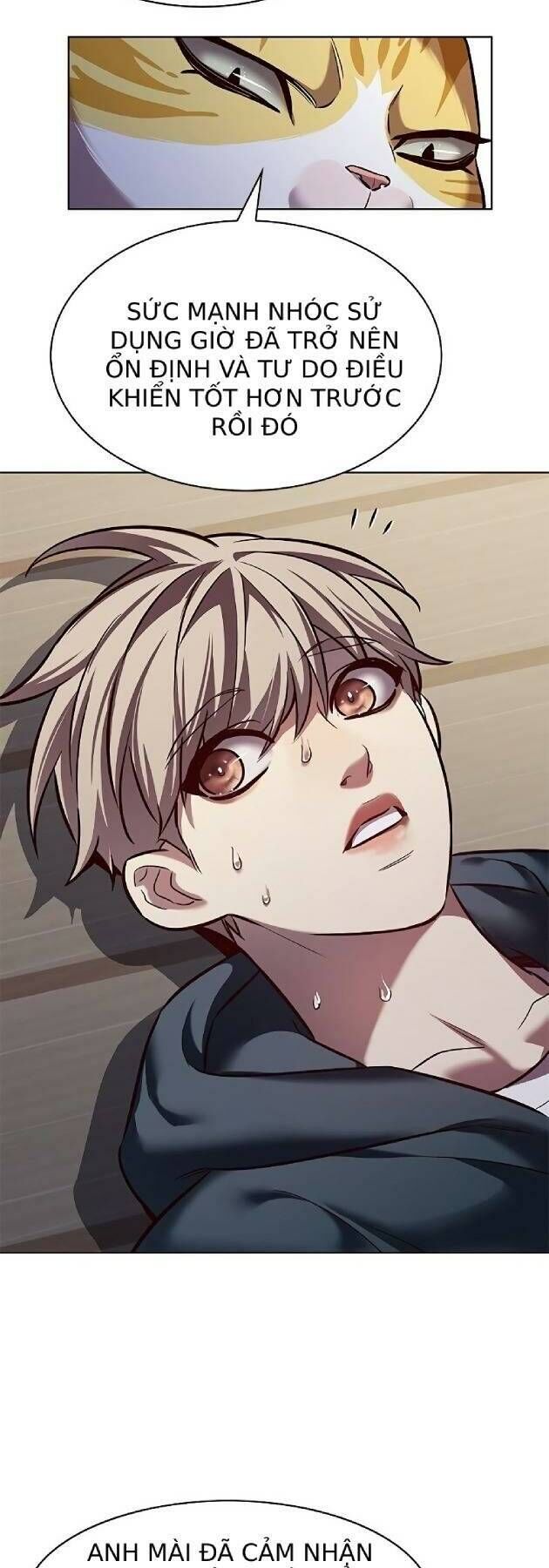 Hóa Thân Thành Mèo Chap 241 - Next Chap 242