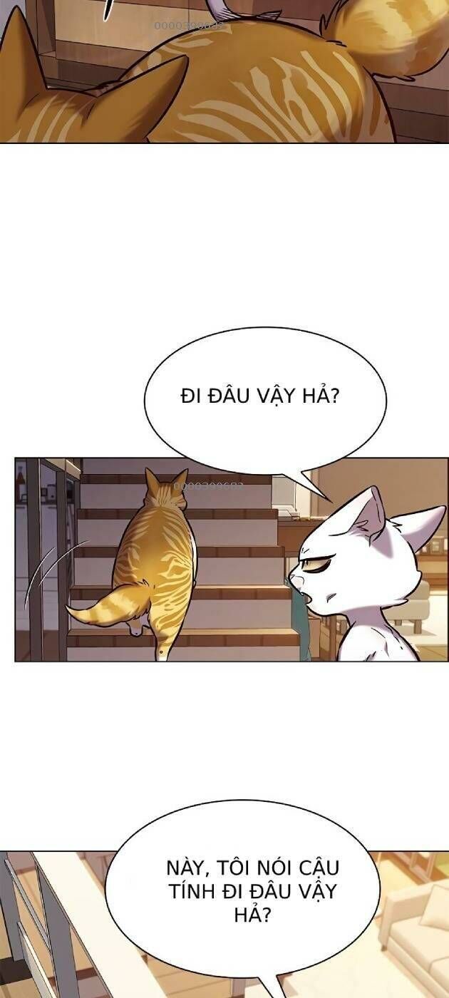 Hóa Thân Thành Mèo Chap 241 - Next Chap 242