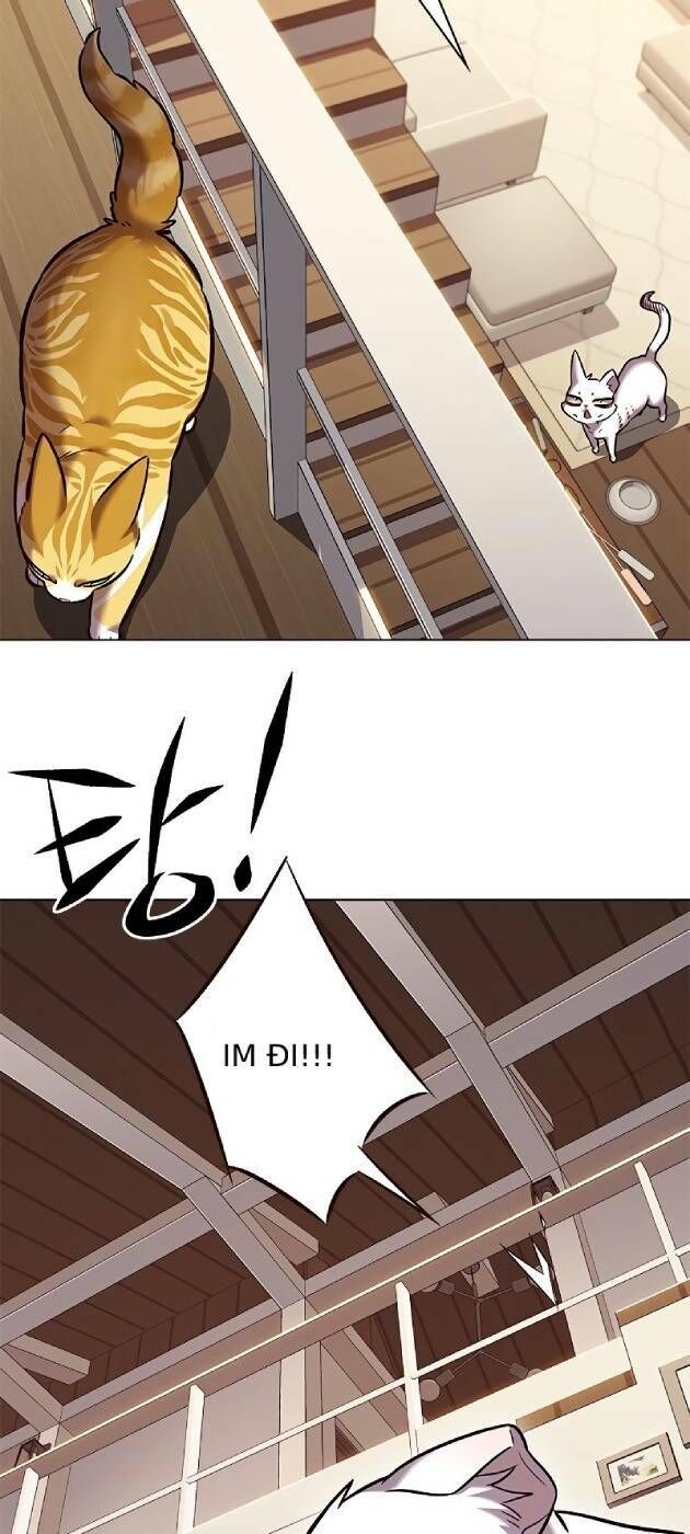 Hóa Thân Thành Mèo Chap 241 - Next Chap 242