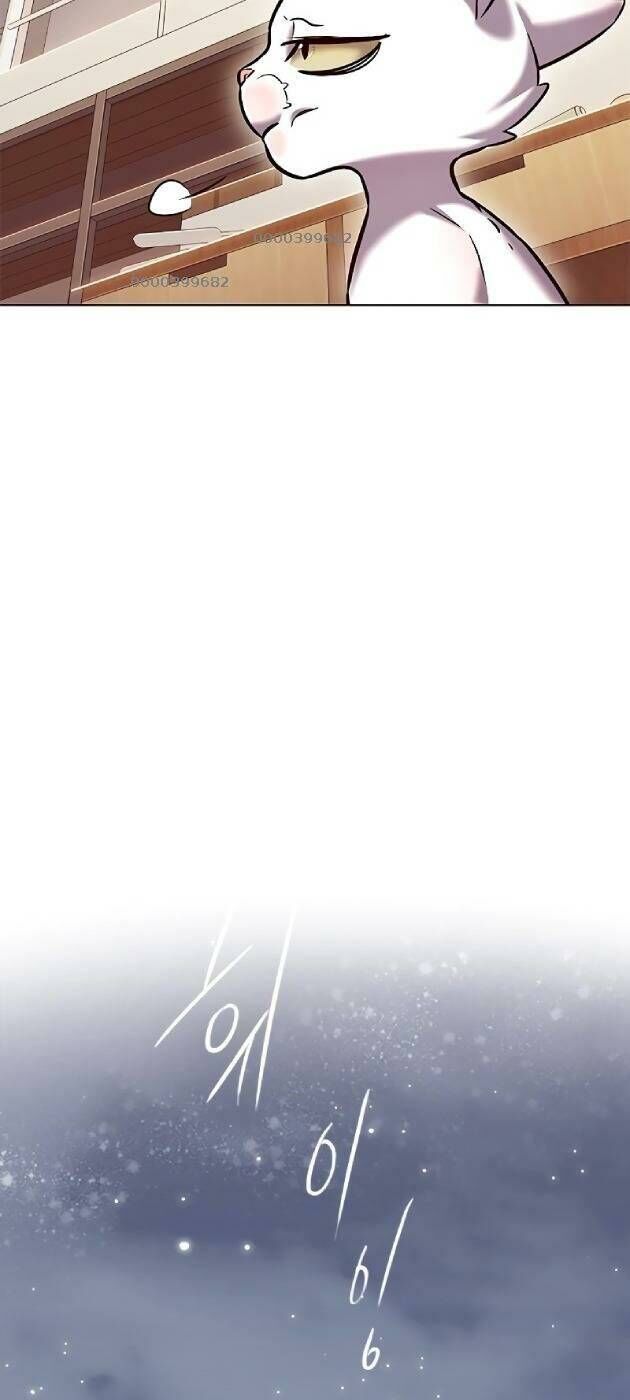 Hóa Thân Thành Mèo Chap 241 - Next Chap 242