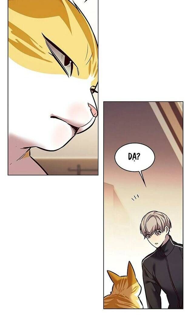 Hóa Thân Thành Mèo Chap 242 - Next Chap 243