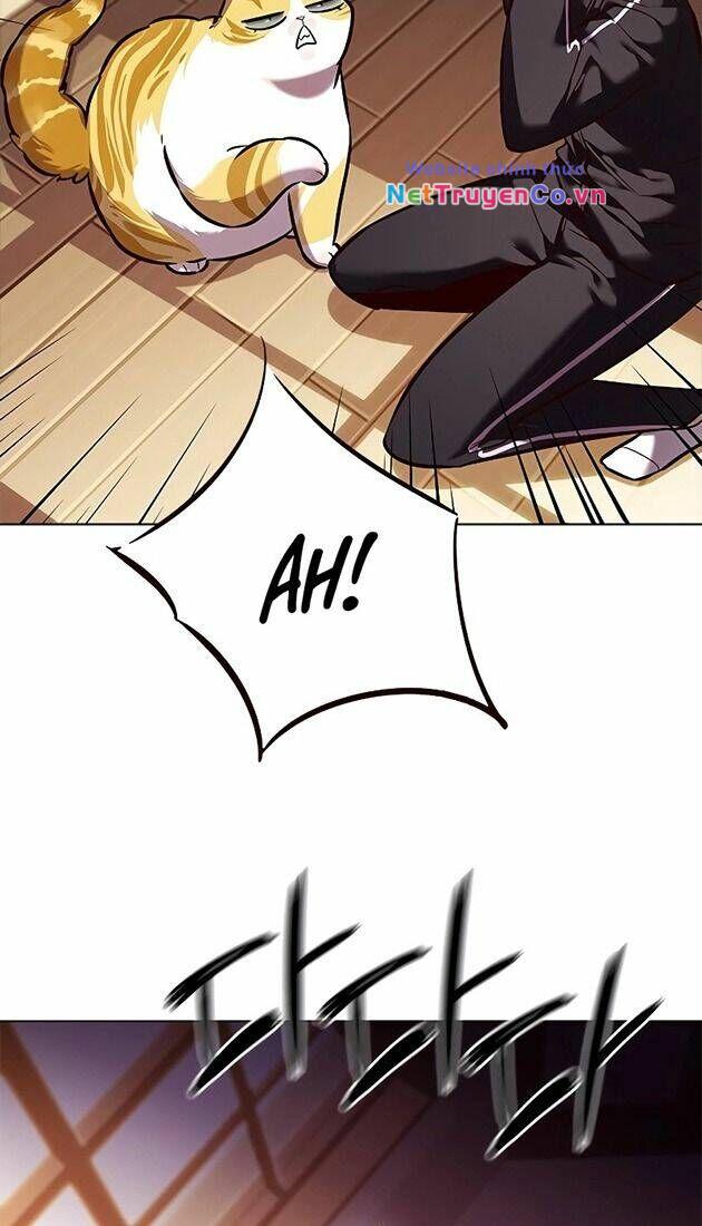 Hóa Thân Thành Mèo Chap 242 - Next Chap 243