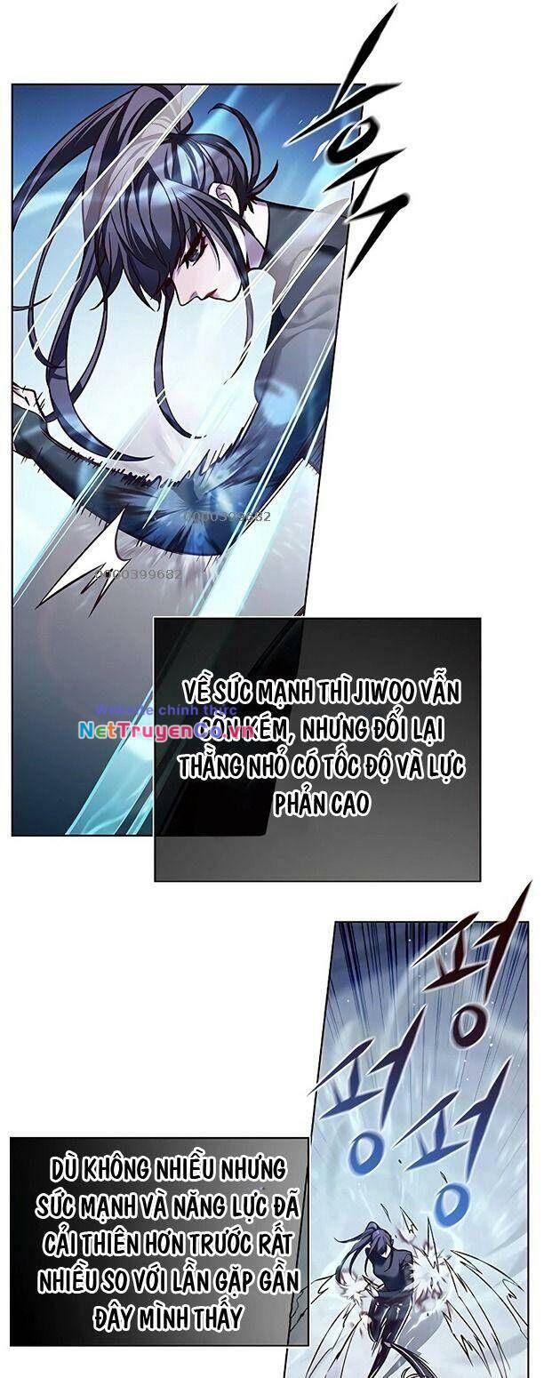 Hóa Thân Thành Mèo Chap 242 - Next Chap 243