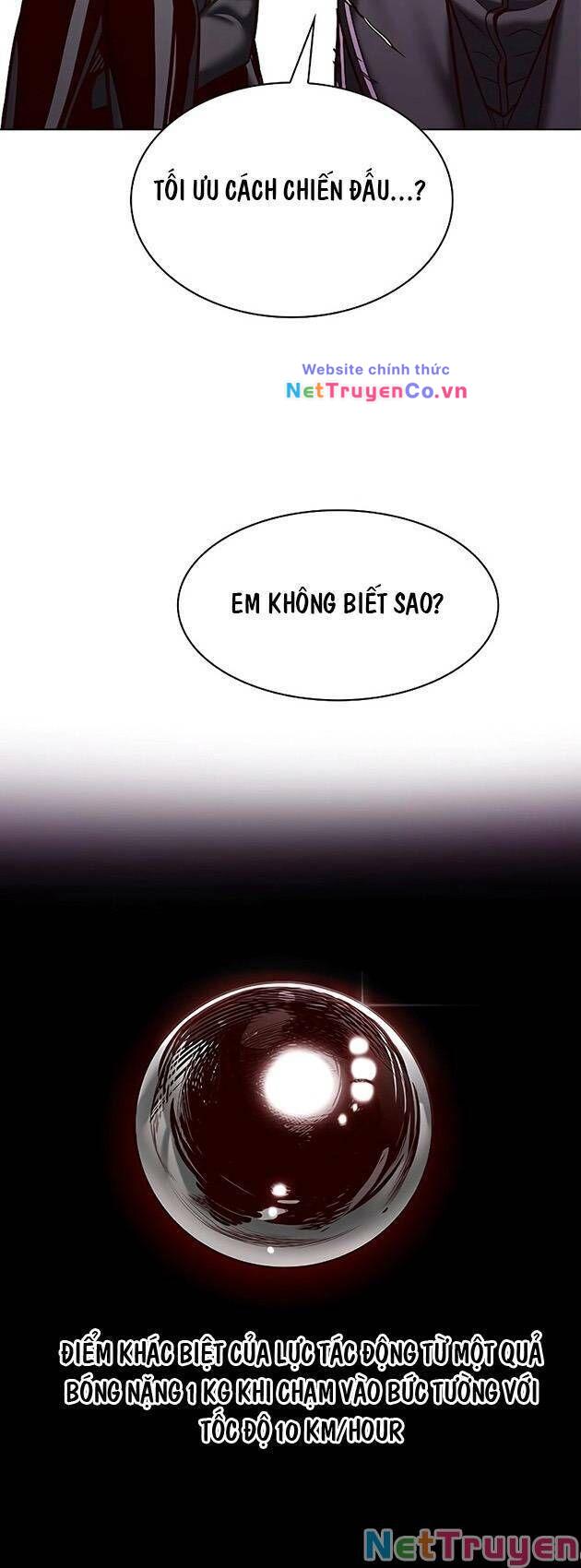 Hóa Thân Thành Mèo Chap 243 - Next Chap 244