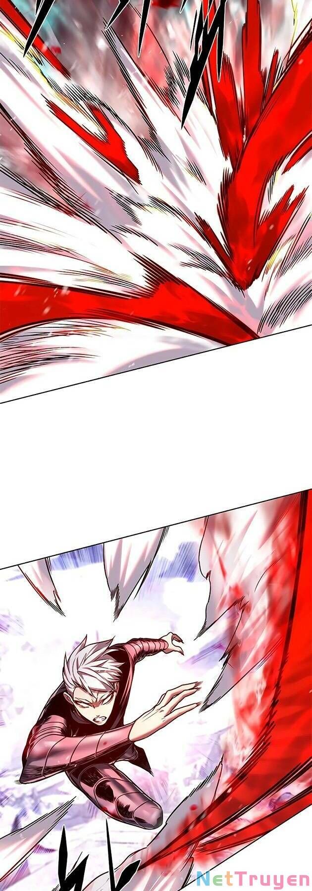 Hóa Thân Thành Mèo Chap 243 - Next Chap 244