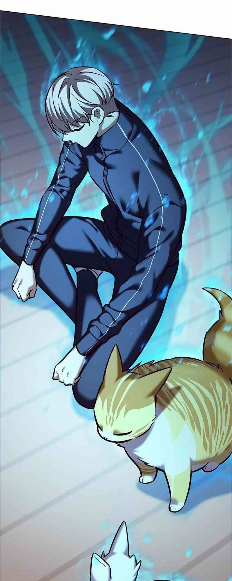 Hóa Thân Thành Mèo Chap 244 - Next Chap 245