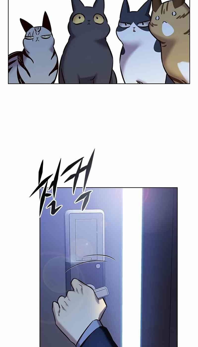 Hóa Thân Thành Mèo Chap 244 - Next Chap 245