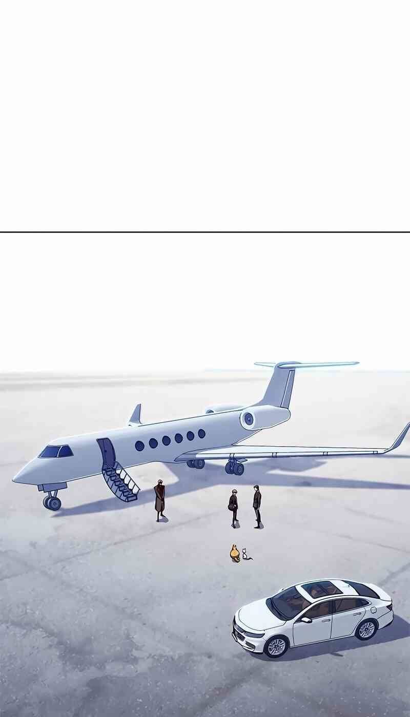 Hóa Thân Thành Mèo Chap 244 - Next Chap 245