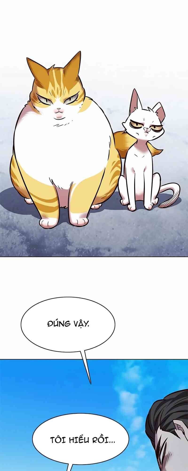 Hóa Thân Thành Mèo Chap 244 - Next Chap 245