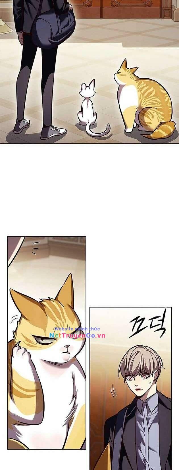 Hóa Thân Thành Mèo Chap 245 - Next Chap 246