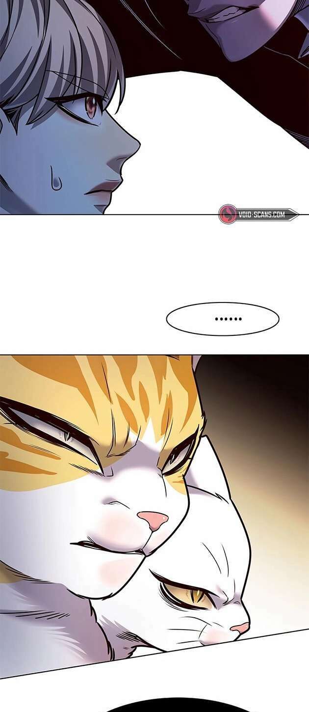 Hóa Thân Thành Mèo Chap 245 - Next Chap 246