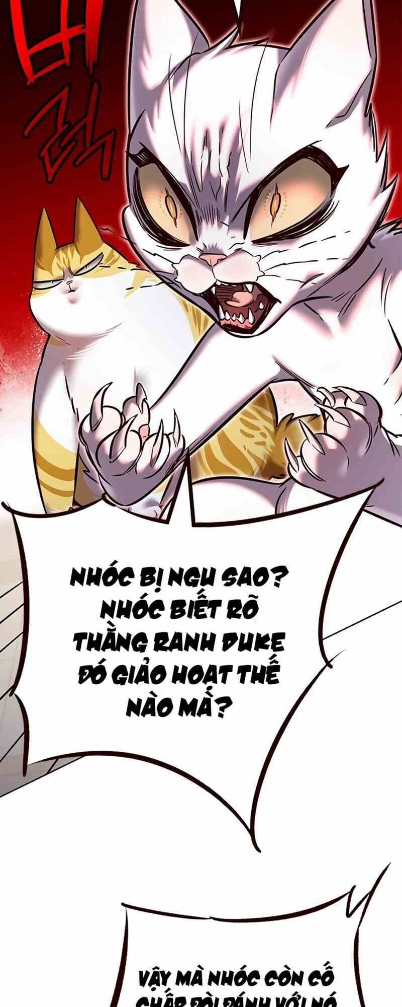 Hóa Thân Thành Mèo Chap 249 - Next Chap 250