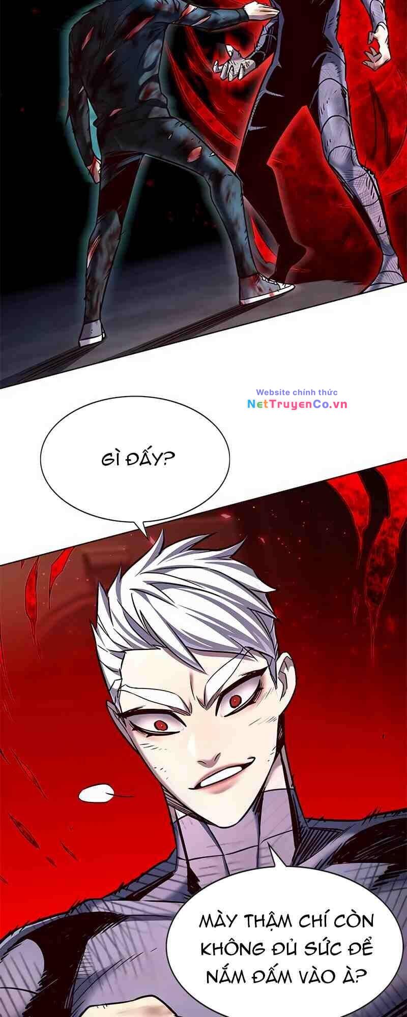 Hóa Thân Thành Mèo Chap 252 - Next Chap 253