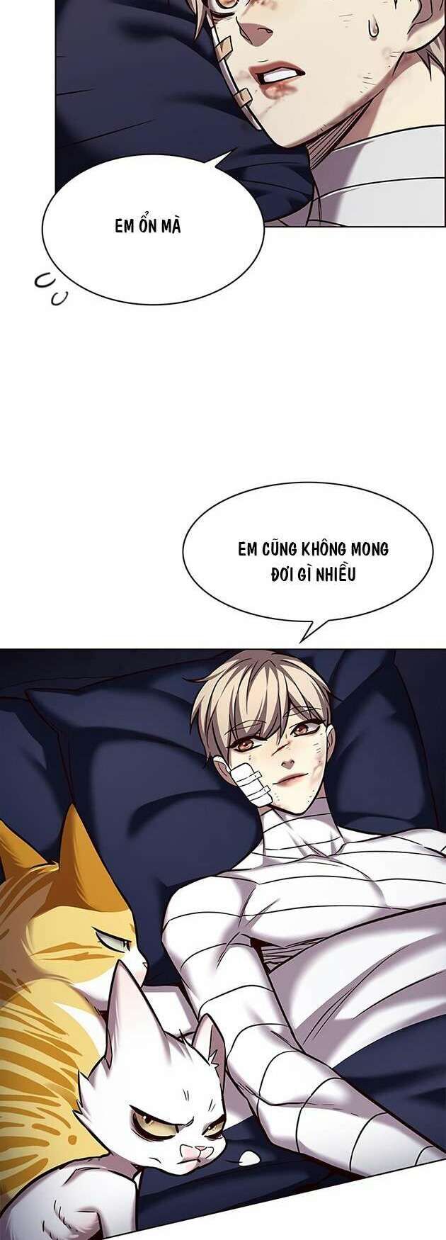 Hóa Thân Thành Mèo Chap 253 - Next Chap 254