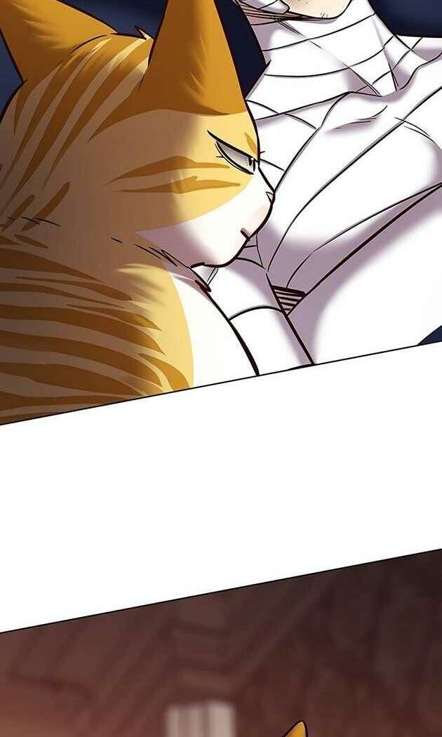 Hóa Thân Thành Mèo Chap 253 - Next Chap 254