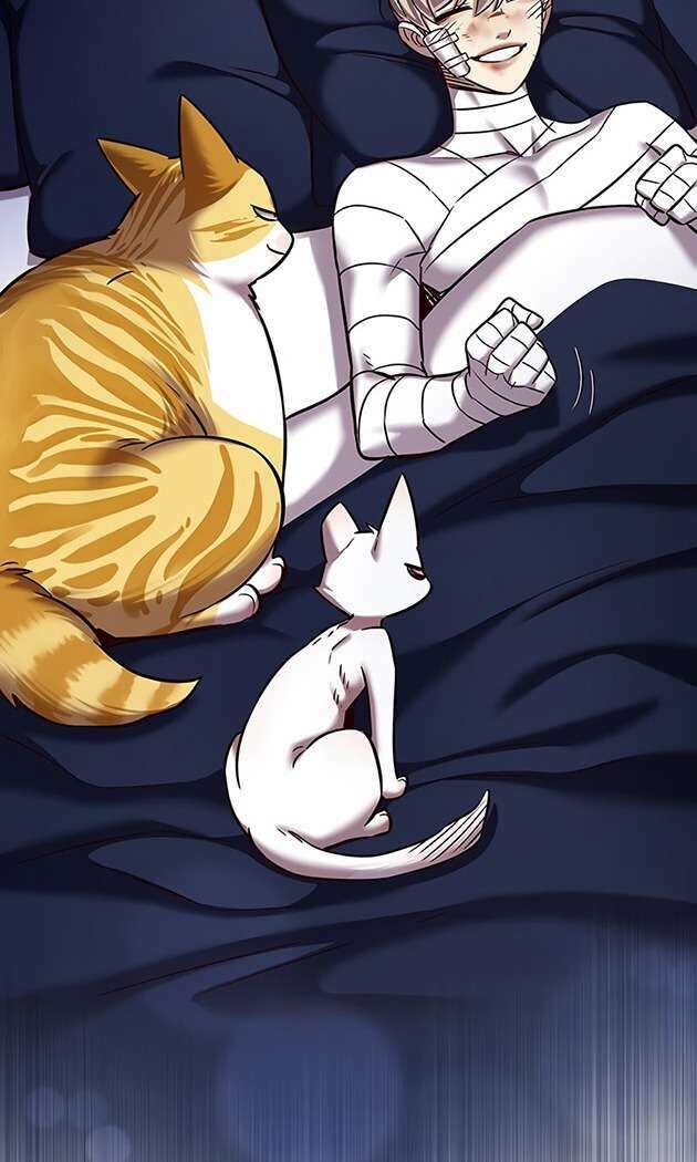 Hóa Thân Thành Mèo Chap 253 - Next Chap 254