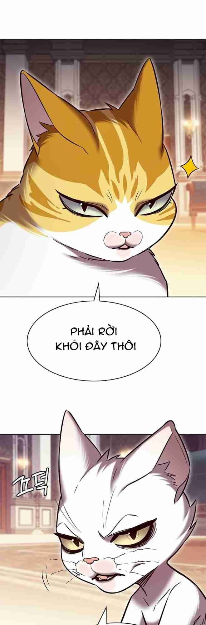 Hóa Thân Thành Mèo Chap 256 - Next Chap 257