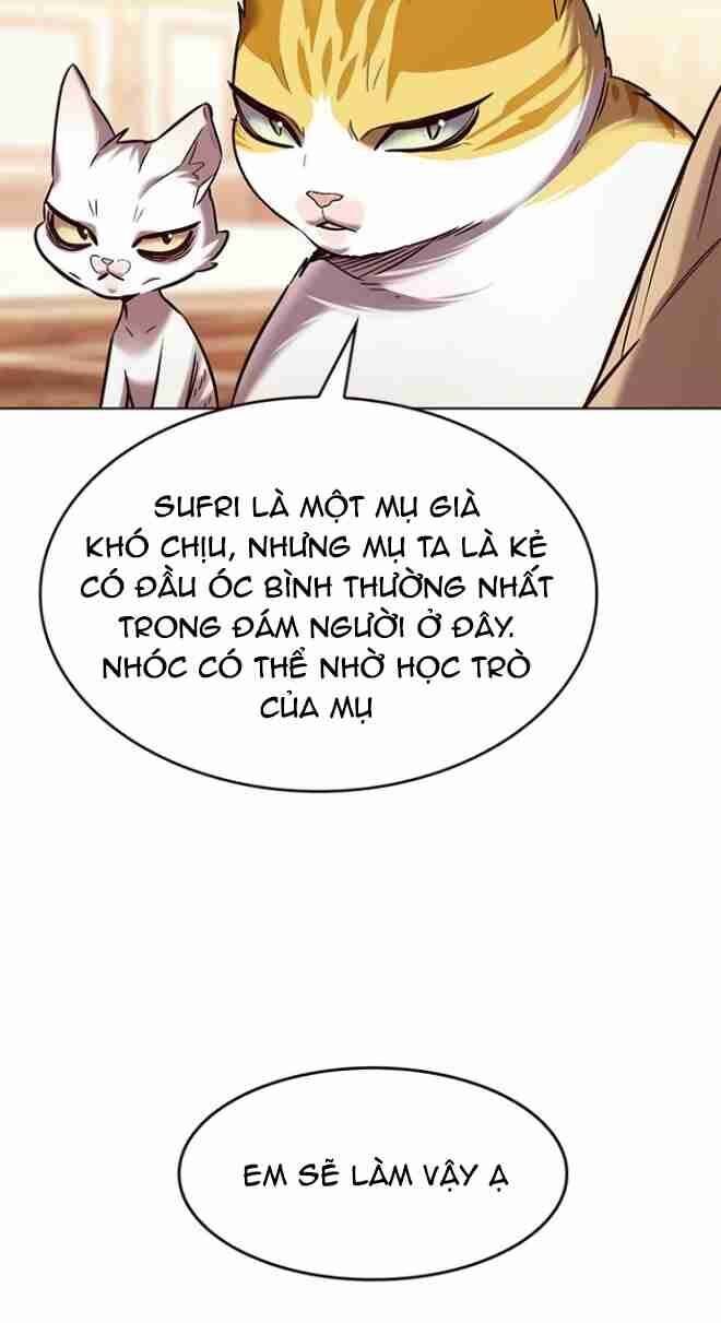 Hóa Thân Thành Mèo Chap 256 - Next Chap 257