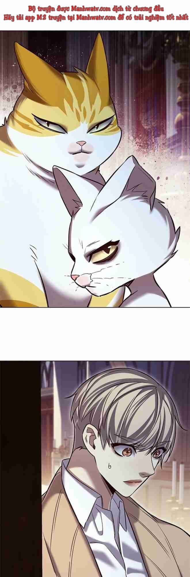 Hóa Thân Thành Mèo Chap 256 - Next Chap 257