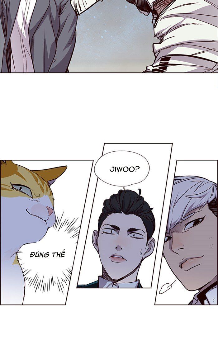 Hóa Thân Thành Mèo Chap 26 - Next Chap 27