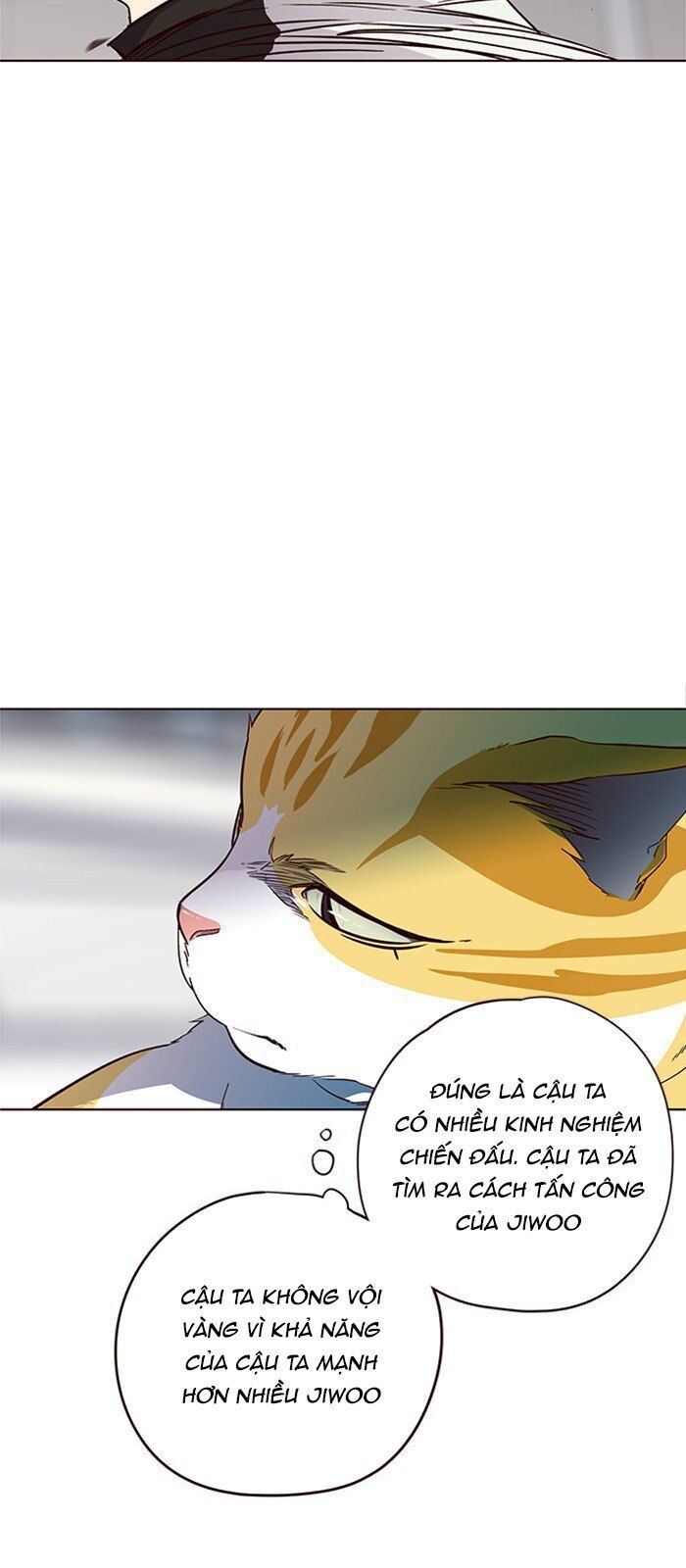 Hóa Thân Thành Mèo Chap 26 - Next Chap 27