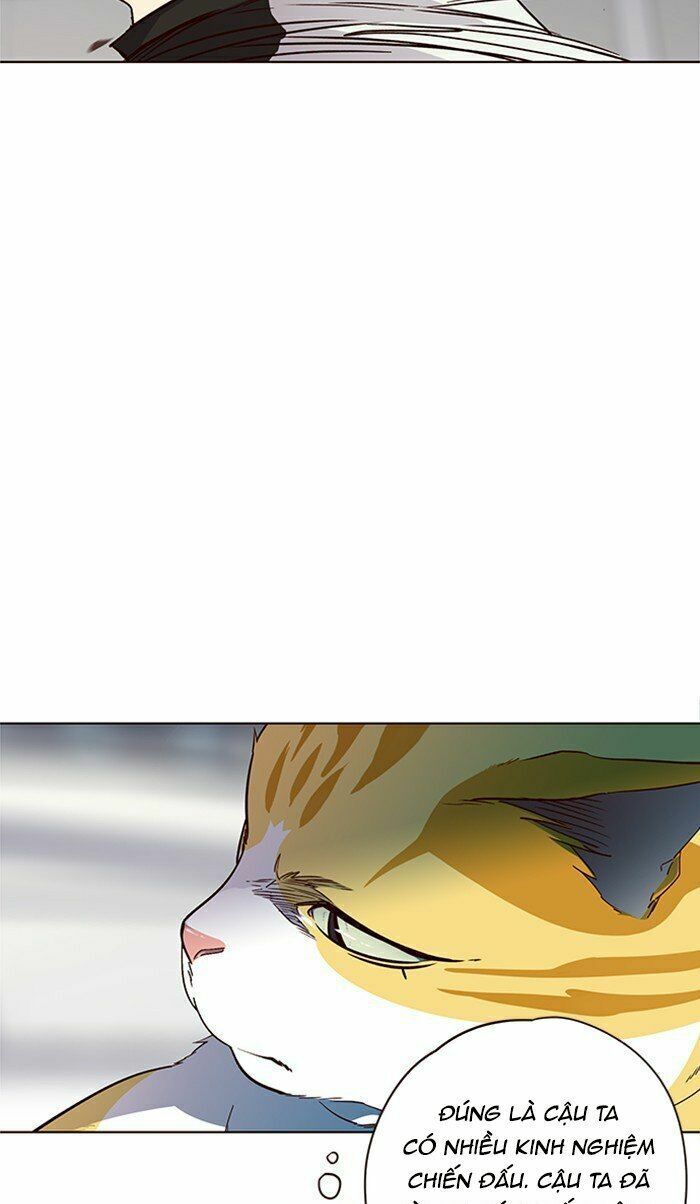 Hóa Thân Thành Mèo Chap 26 - Next Chap 27