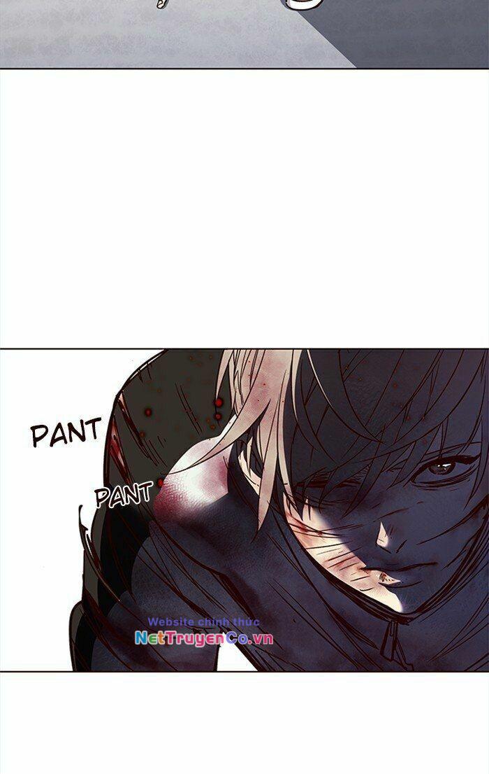 Hóa Thân Thành Mèo Chap 26 - Next Chap 27