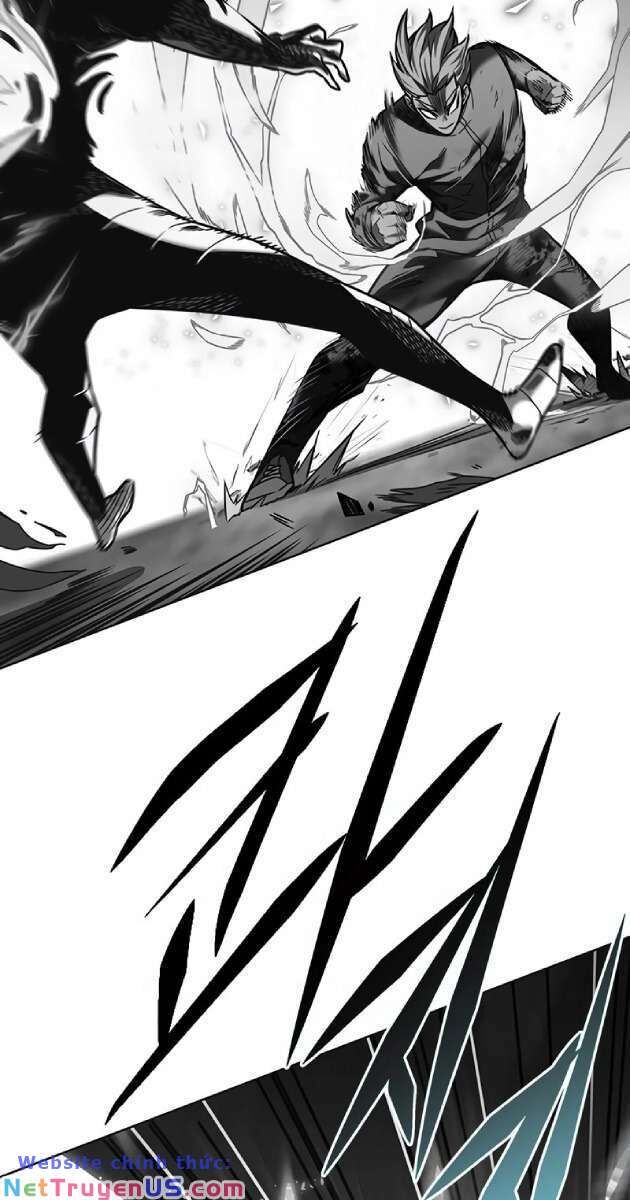 Hóa Thân Thành Mèo Chap 261 - Next Chap 262