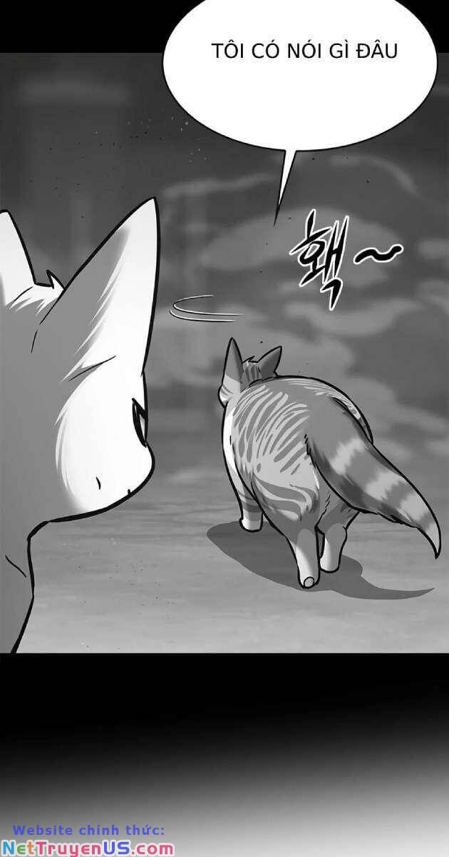 Hóa Thân Thành Mèo Chap 261 - Next Chap 262